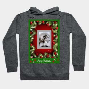 Collie Xmas dog Hoodie